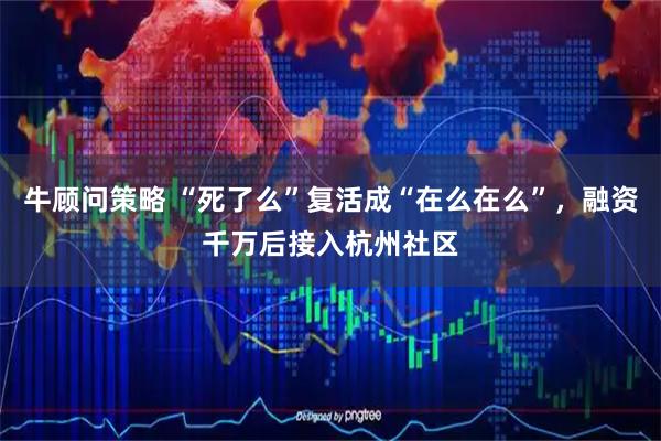 牛顾问策略 “死了么”复活成“在么在么”，融资千万后接入杭州社区