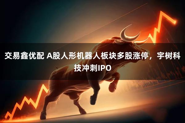 交易鑫优配 A股人形机器人板块多股涨停，宇树科技冲刺IPO